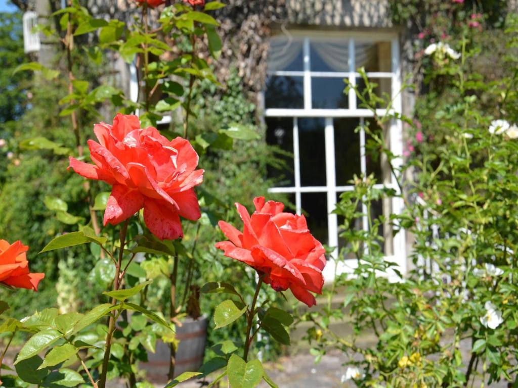 Powis House B&B 스털링 외부 사진