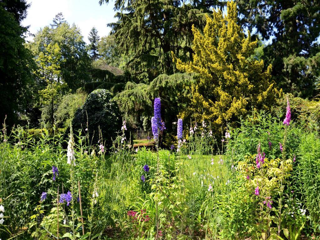 Powis House B&B 스털링 외부 사진